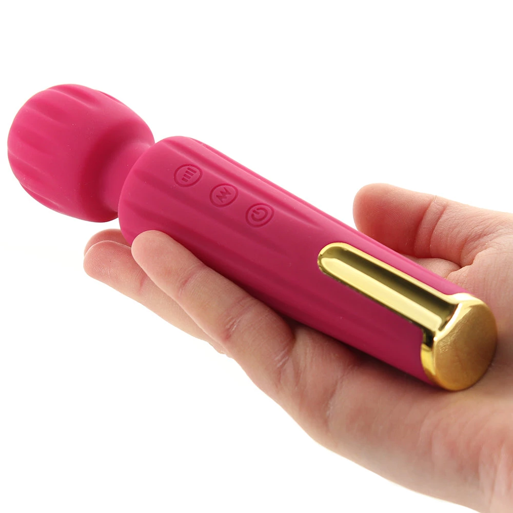 Blush Lush Allana Mini Wand Vibe - Image 4