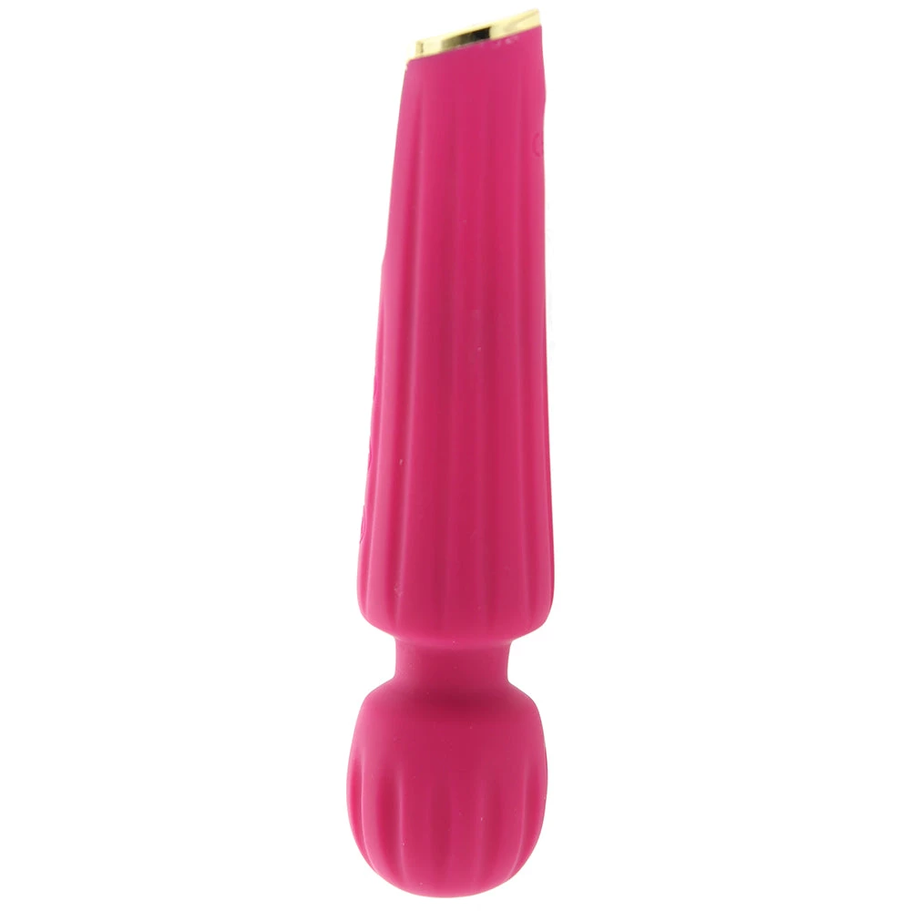 Blush Lush Allana Mini Wand Vibe - Image 5